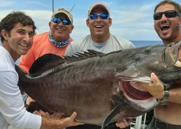 美国慈善钓鱼比赛钓起巨大石斑（有望打破尘封12年的世界纪录）