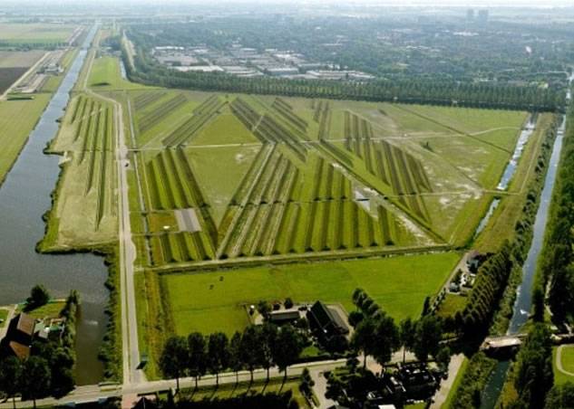 荷兰机场看起来就像锯齿型麦田圈（真的是外星人的杰作吗）(1)