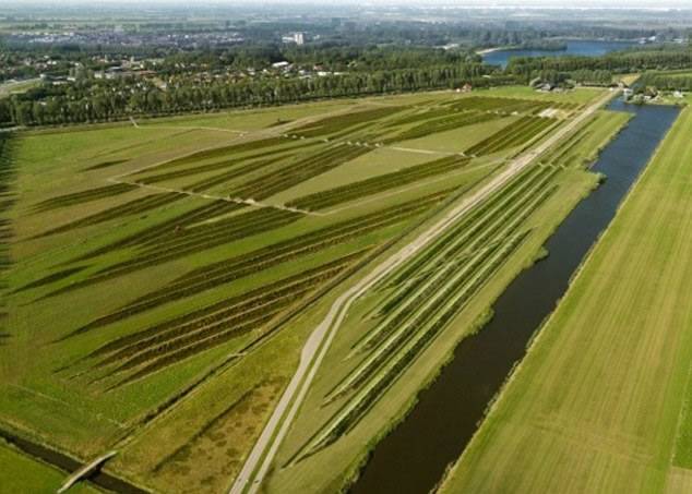 荷兰机场看起来就像锯齿型麦田圈（真的是外星人的杰作吗）(2)