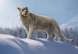 残暴狮简介；冰河时代生存最大猫科动物之一