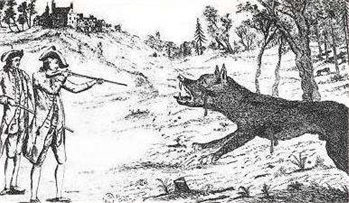 驴头狼身的动物是什么：驴头狼传说真实故事