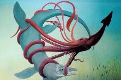 世界上最大的章鱼到底有多大：北太平洋巨型章鱼重达540斤