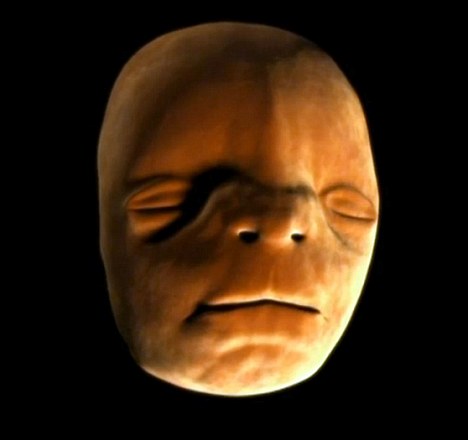 人类胎儿的脸部形成过程：胎儿的形成全过程震撼(2)