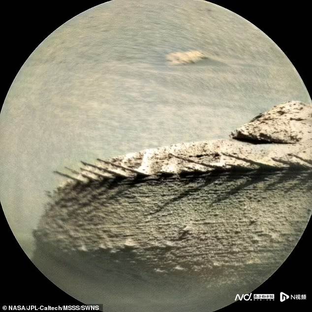 火星车拍到一个奇怪的岩石特征（某种史前生物的骨架）(3)