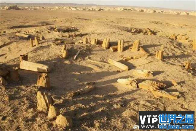 新疆太阳墓之谜至今为解开 目前已经有3800多年的历史