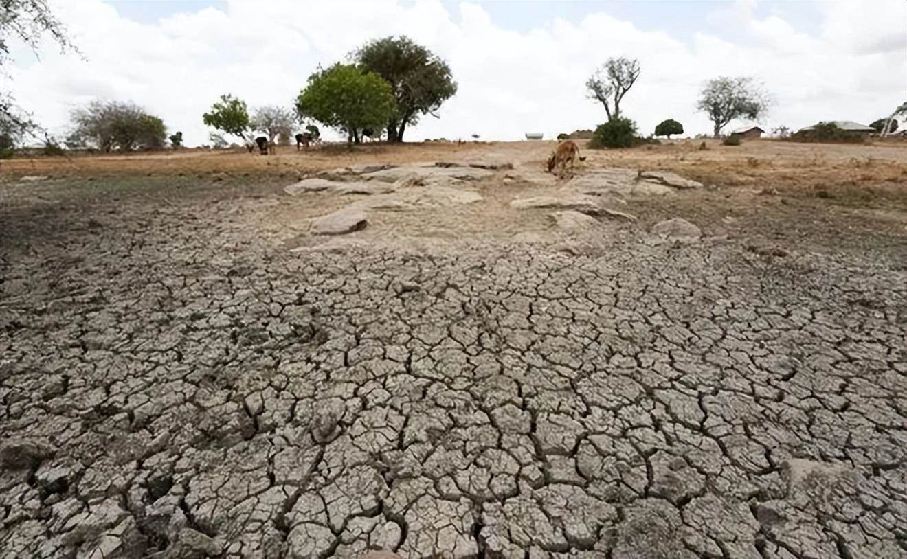 世界上有哪些重大干旱（干旱发生的现状及趋势）