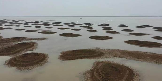 鄱阳湖水域下降创下历史新低（部分的河段已经完全干枯）