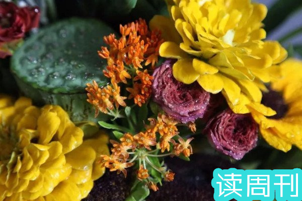 目前中国的国花是什么花（牡丹花在清朝被定为国花）(1)
