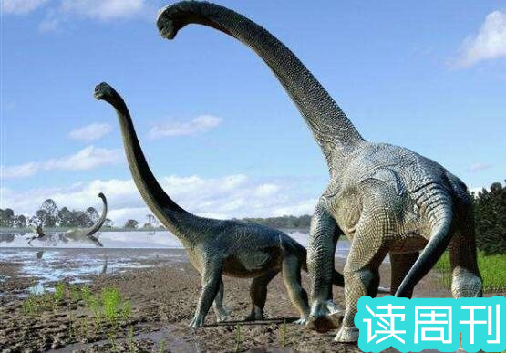 世界上体型最大的恐龙是什么龙（阿根廷龙是目前为止发现体型最大一种恐龙）(2)