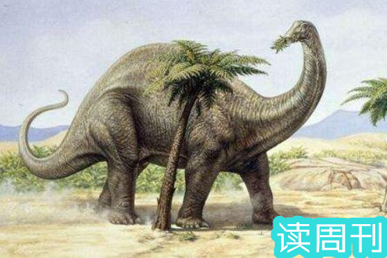 世界上体型最大的恐龙是什么龙（阿根廷龙是目前为止发现体型最大一种恐龙）(3)