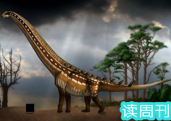 世界上体型最大的恐龙是什么龙（阿根廷龙是目前为止发现体型最大一种恐龙）(4)