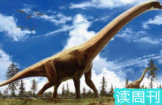 世界上体型最大的恐龙是什么龙（阿根廷龙是目前为止发现体型最大一种恐龙）(5)