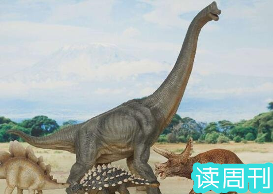 世界上体型最大的恐龙是什么龙（阿根廷龙是目前为止发现体型最大一种恐龙）(7)