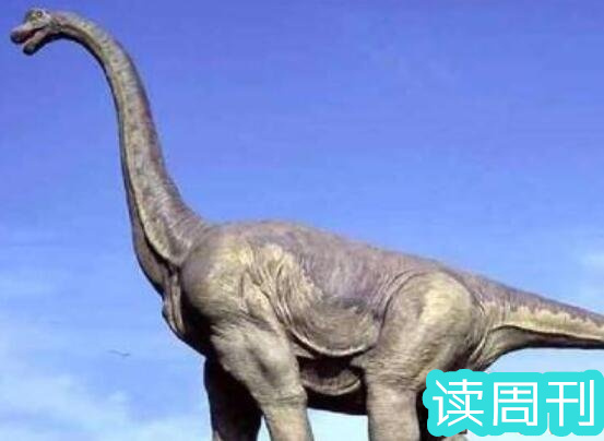 世界上体型最大的恐龙是什么龙（阿根廷龙是目前为止发现体型最大一种恐龙）(8)