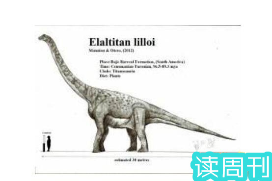 世界上体型最大的恐龙是什么龙（阿根廷龙是目前为止发现体型最大一种恐龙）(9)