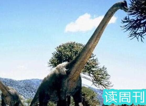 世界上体型最大的恐龙是什么龙（阿根廷龙是目前为止发现体型最大一种恐龙）(10)