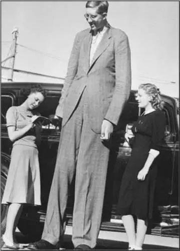 最高的人是谁有几米高 最高的人是谁啊