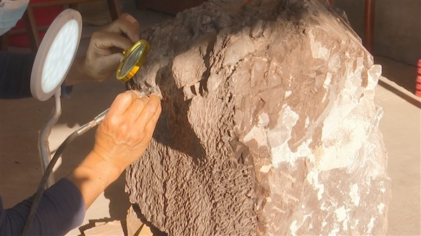 福建上杭首次发现恐龙蛋化石（一整窝至少6枚）(3)
