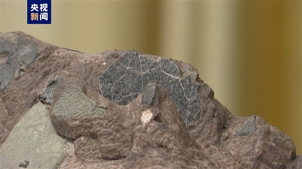 福建上杭首次发现恐龙蛋化石（一整窝至少6枚）(2)