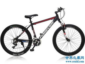 自行车品牌排行榜前十名(捷安特最好)(1)