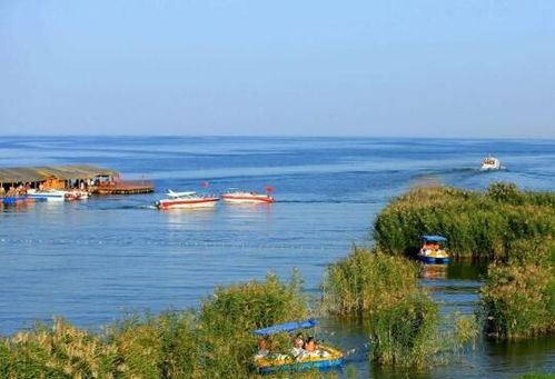 中国面积最大的淡水湖是什么湖（鄱阳湖是五大淡水湖中面积最大的）(2)