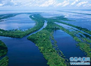 世界最长的河流排名(尼罗河世界上最长的一条河流)(3)