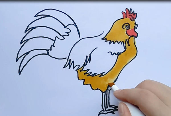公鸡怎么画简单又可爱简笔画（公鸡简笔画简单）(4)