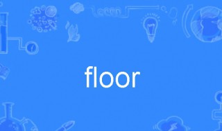 floor英语发音是什么（英[flɔ:(r)]美[flɔ:r]）(1)
