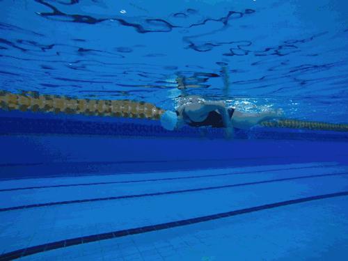 每个游泳爱好者都应学会的蝶泳技巧(蝶泳的动作要领)(2)