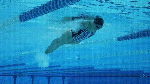 每个游泳爱好者都应学会的蝶泳技巧(蝶泳的动作要领)(5)