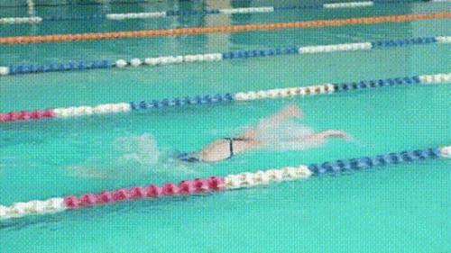 每个游泳爱好者都应学会的蝶泳技巧(蝶泳的动作要领)(7)