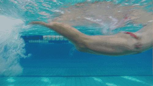 每个游泳爱好者都应学会的蝶泳技巧(蝶泳的动作要领)(12)