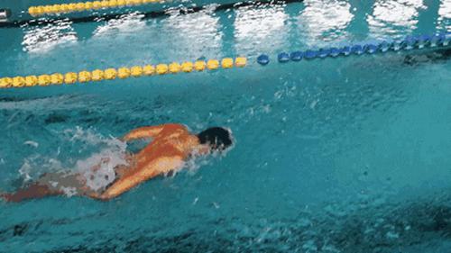 每个游泳爱好者都应学会的蝶泳技巧(蝶泳的动作要领)(14)