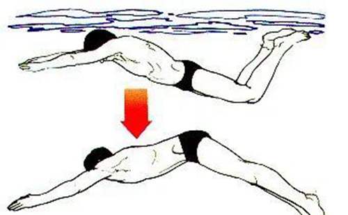 每个游泳爱好者都应学会的蝶泳技巧(蝶泳的动作要领)(19)