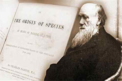 达尔文进化论的主要核心是什么:人类并不是神创造的人类自身也不是神