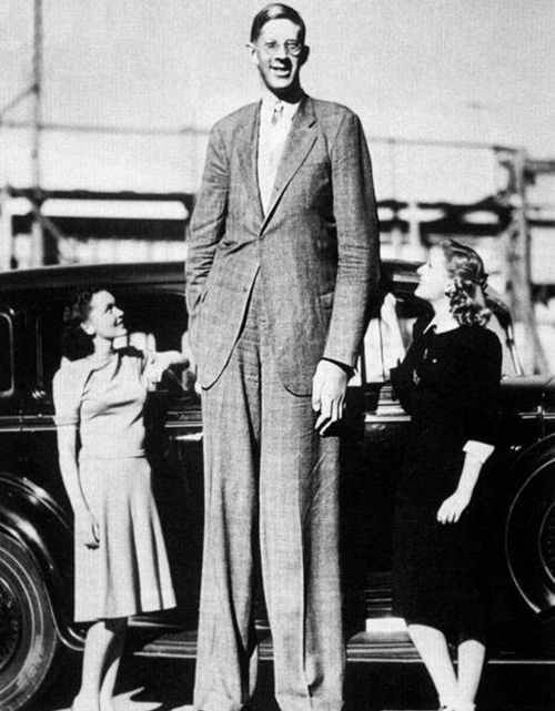 盘点十大世界上最高的人（詹世钗3.19米真实身高2.4米）(2)