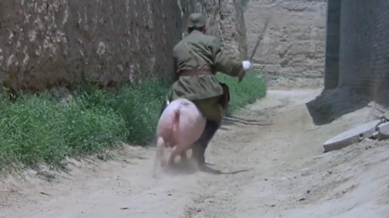 猪跑电影的进展情况(1)