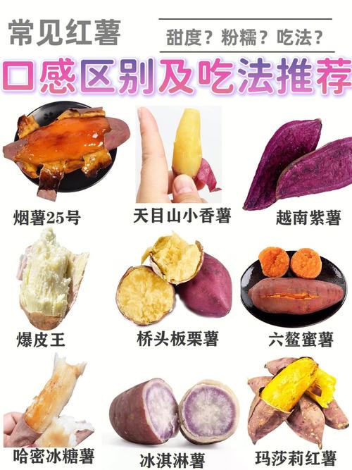 地瓜和红薯有什么区别(1)