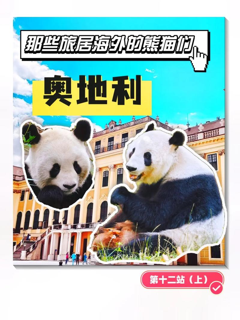 大熊猫在欧洲有多受欢迎(1)