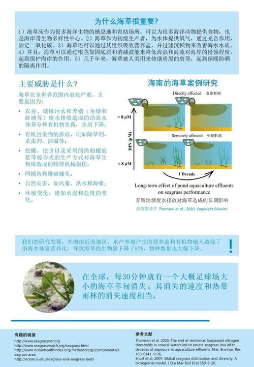 海花草的种植与管理(1)