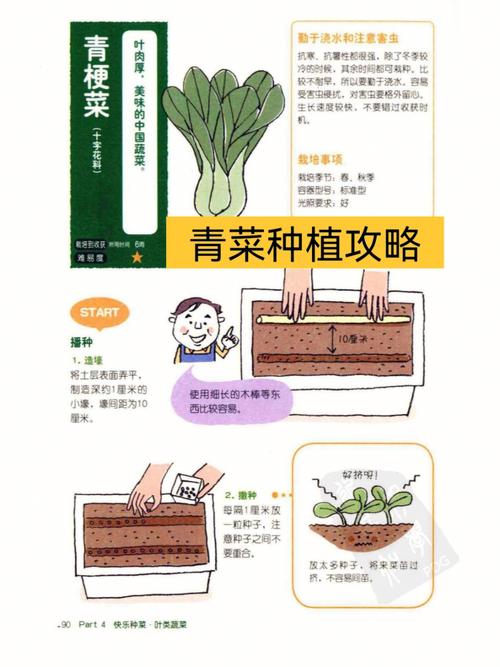 家庭如何种植蔬菜(1)