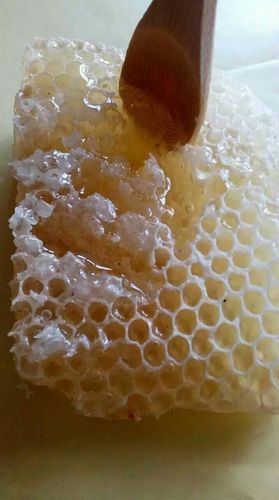 蜂蜡可以冷冻保存吗(2)