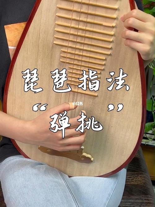 琵琶的演奏技巧(1)