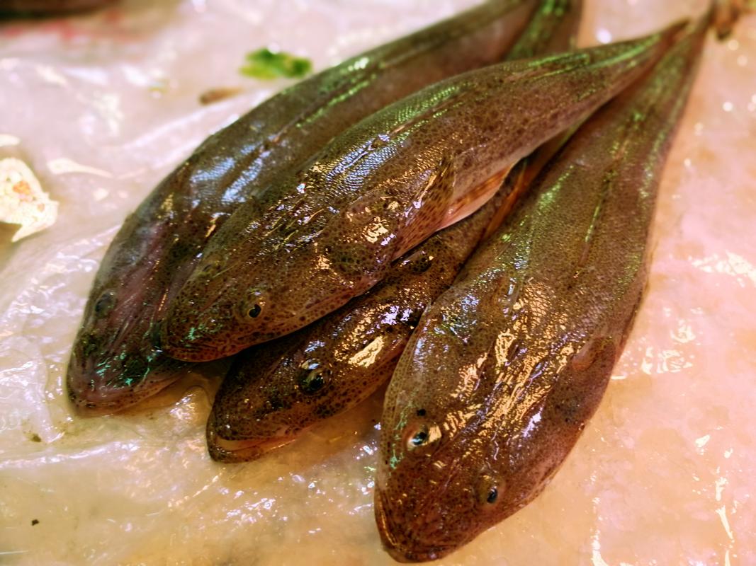 菜市场最常见的海鱼
