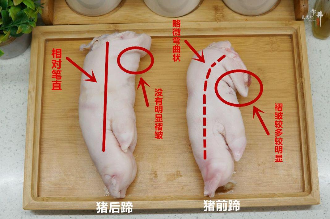 猪脚与猪手怎么区分(1)