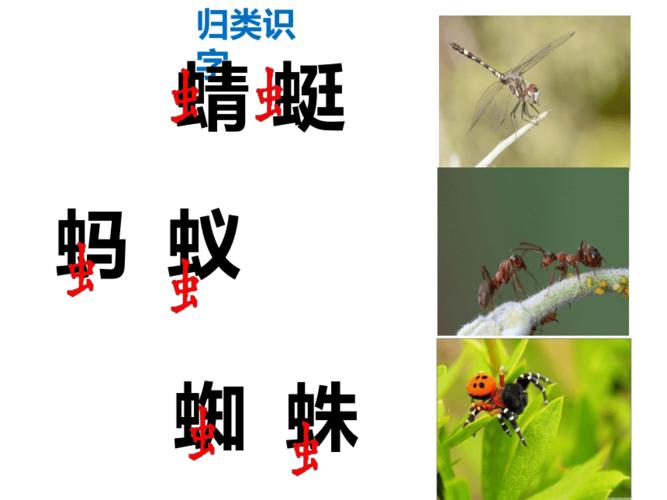 带虫字旁的动物的名称有哪些(4)