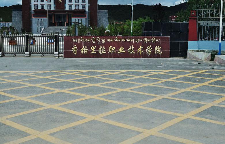 湖南职业技术学院有藏族吗