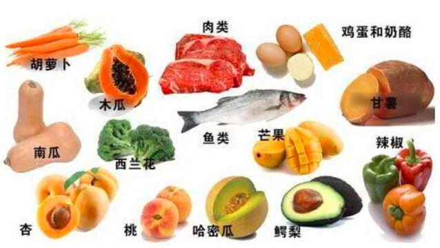 蔬菜含维生素b的食物和水果有哪些