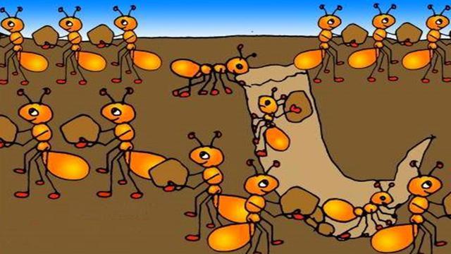 一群蚂蚁的动画片(1)