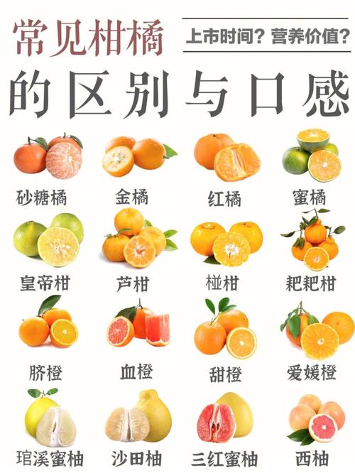 柑橘蜜和蜂蜜有什么区别(1)